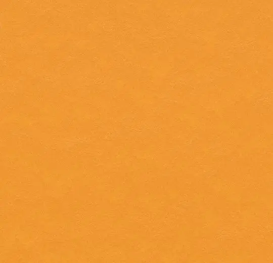 194366_t3354.webp