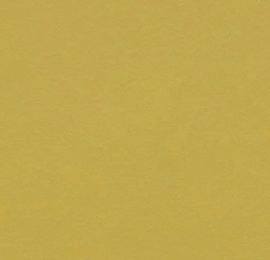194368_t3362.webp
