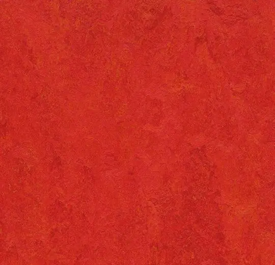 194369_t3131.webp