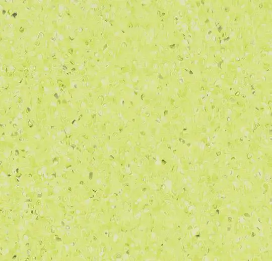 205500_50515.webp