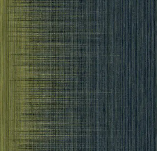 206247_332018.webp
