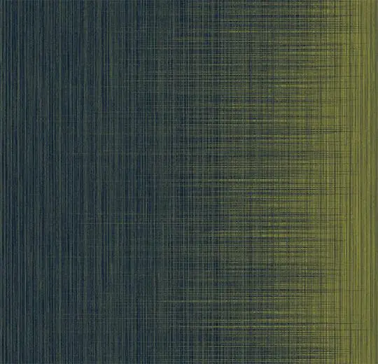 206249_334018.webp