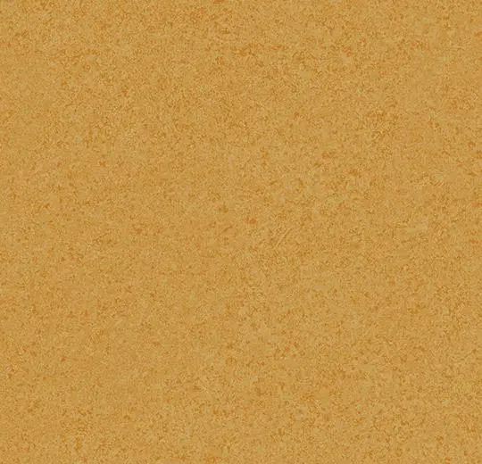 215266_20S106.webp