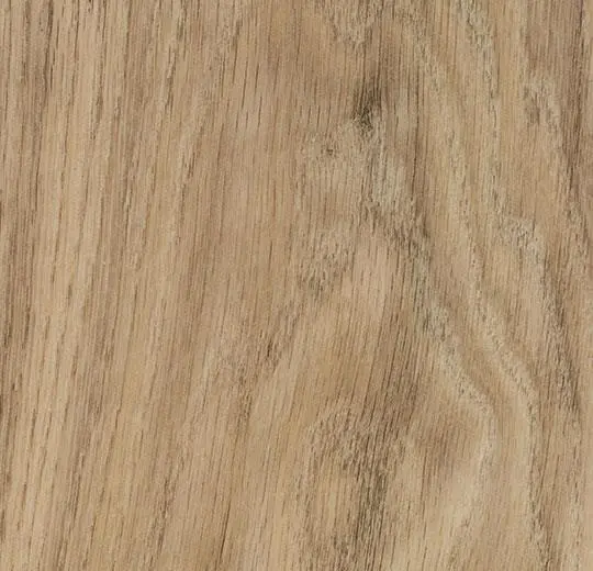220484_60300CL5.webp