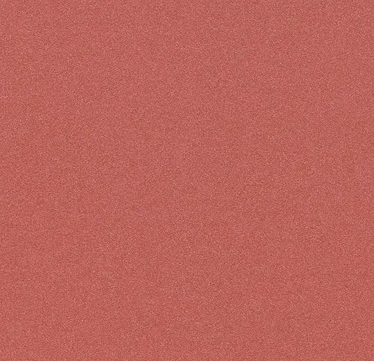 230660_4804UP43C.webp