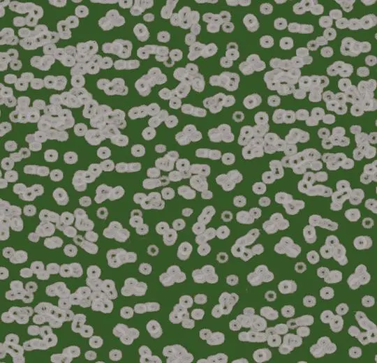 87341_990403.webp